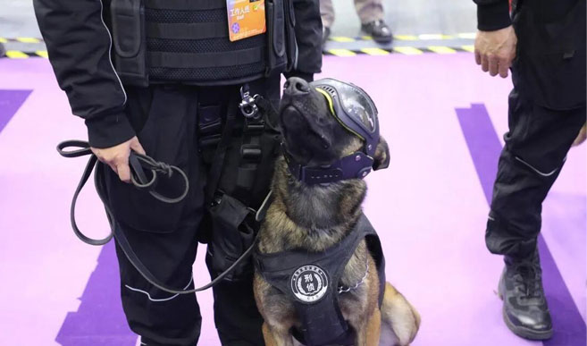 La clonación de perros de la policía atrajo mucha atención en la Expo Mundial